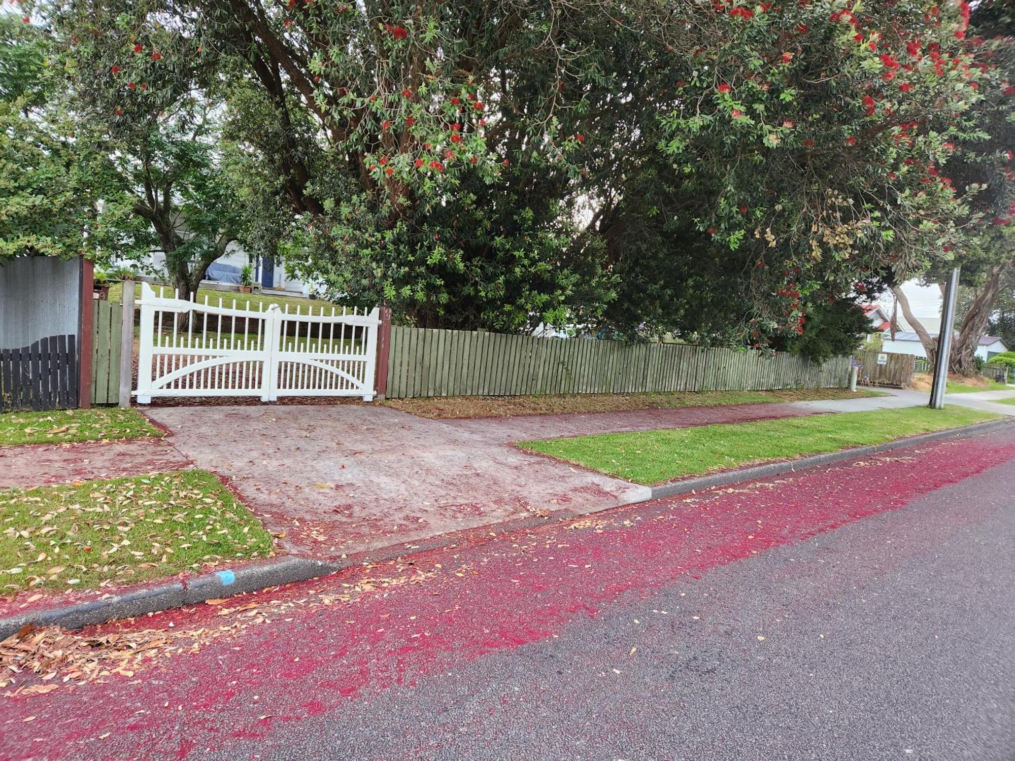 Privatunterkunft Quirky Whanganui